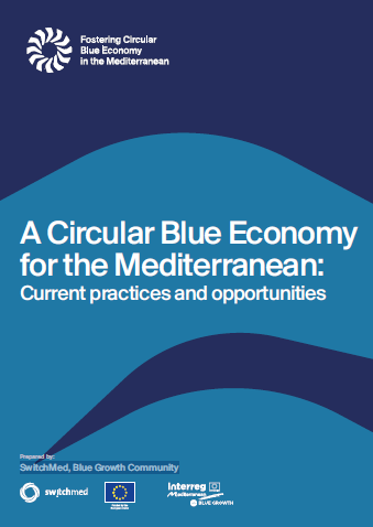 Circular Blue Economy Report