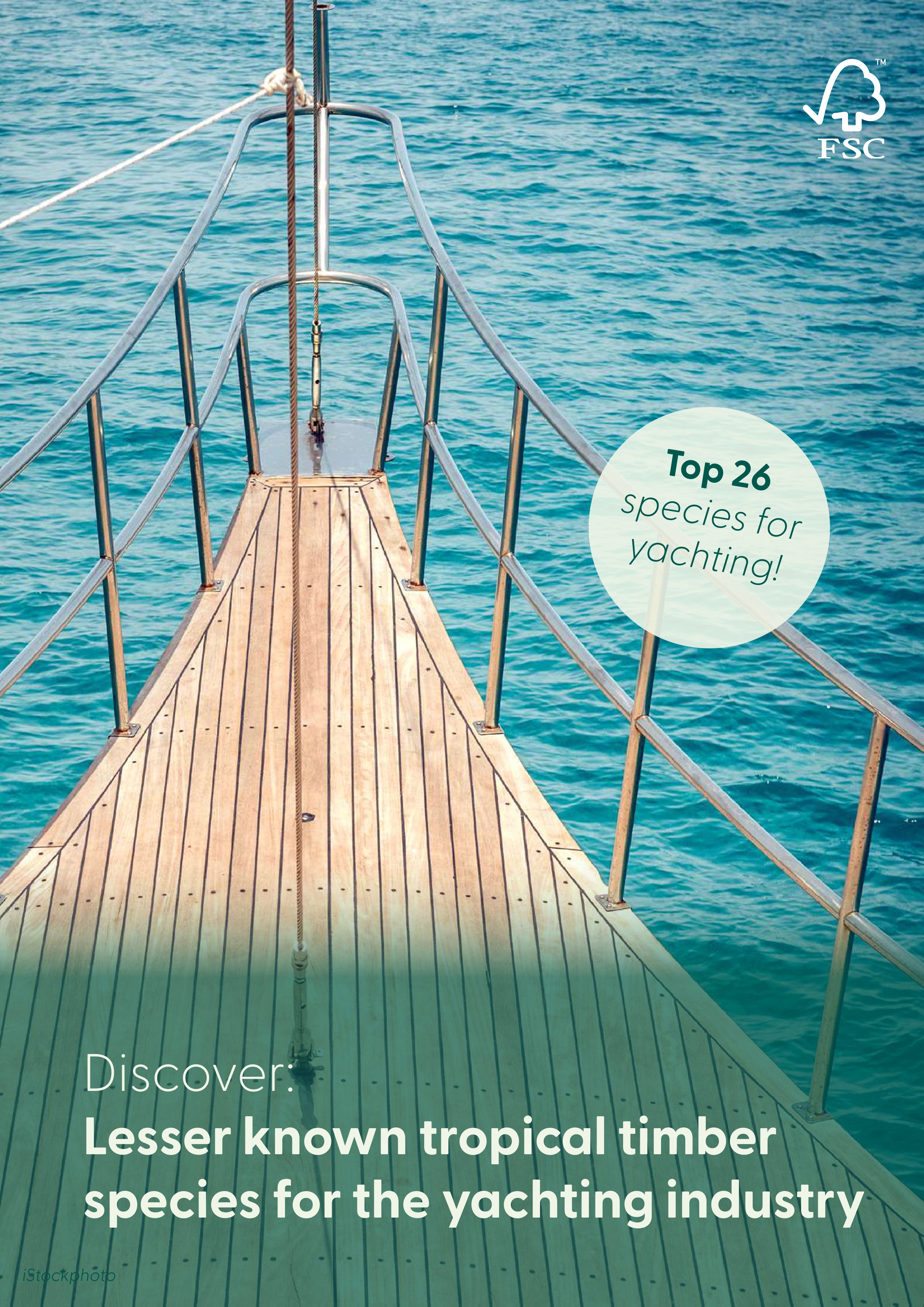 Lesser known tropical timber species for the yachting industry