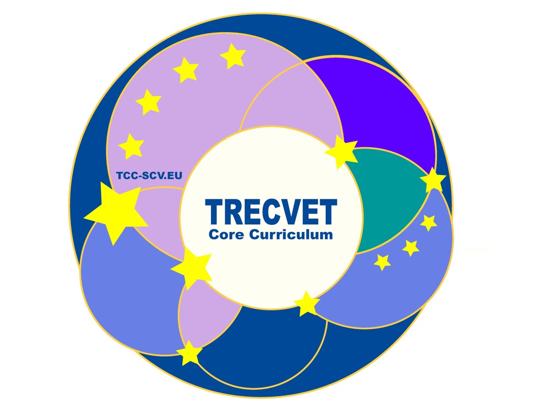 Logo TCC-SCV final-small